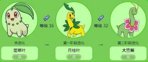 精灵宝可梦草系打手推荐